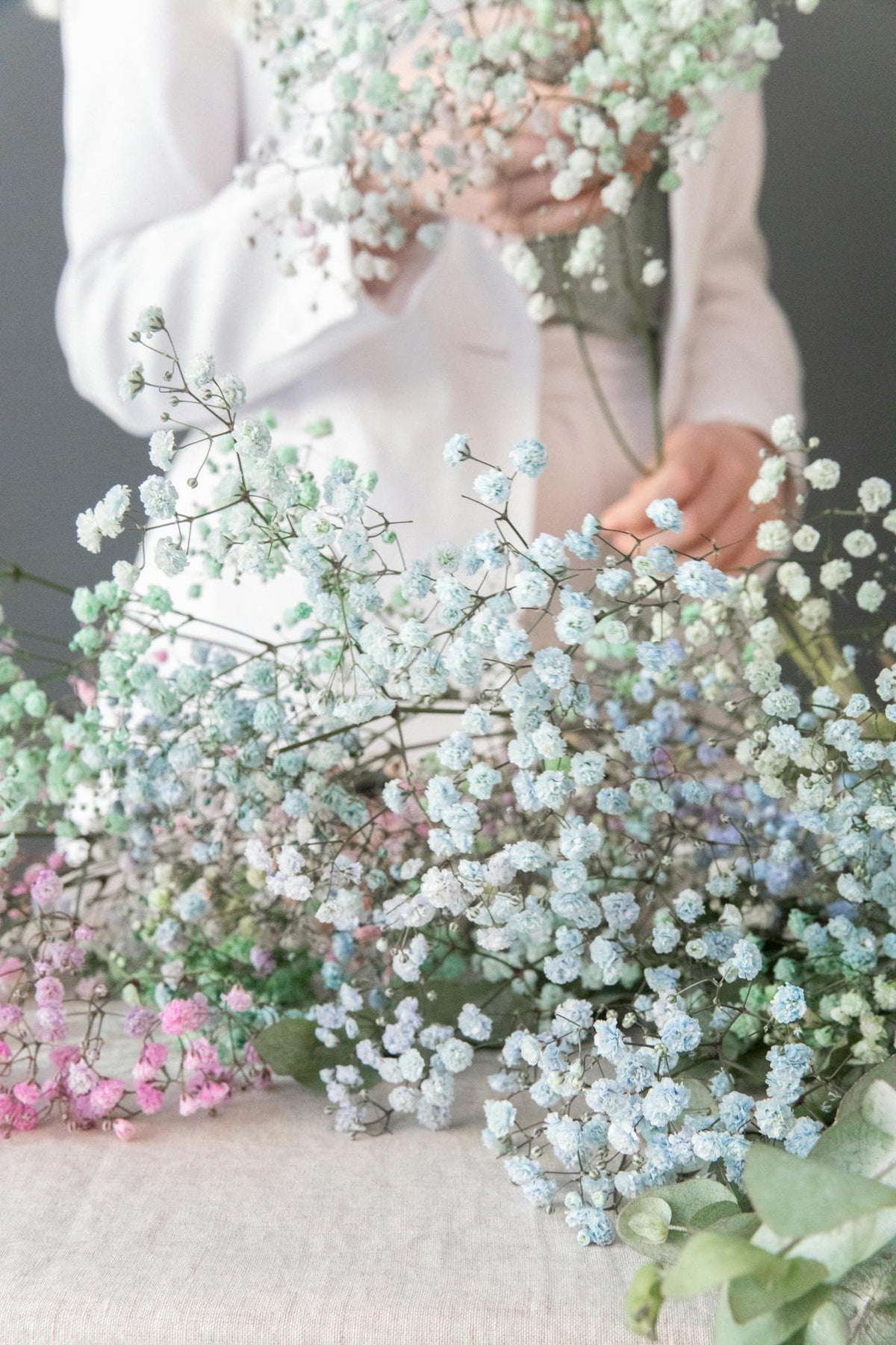 Hong Kong babybreath flowers