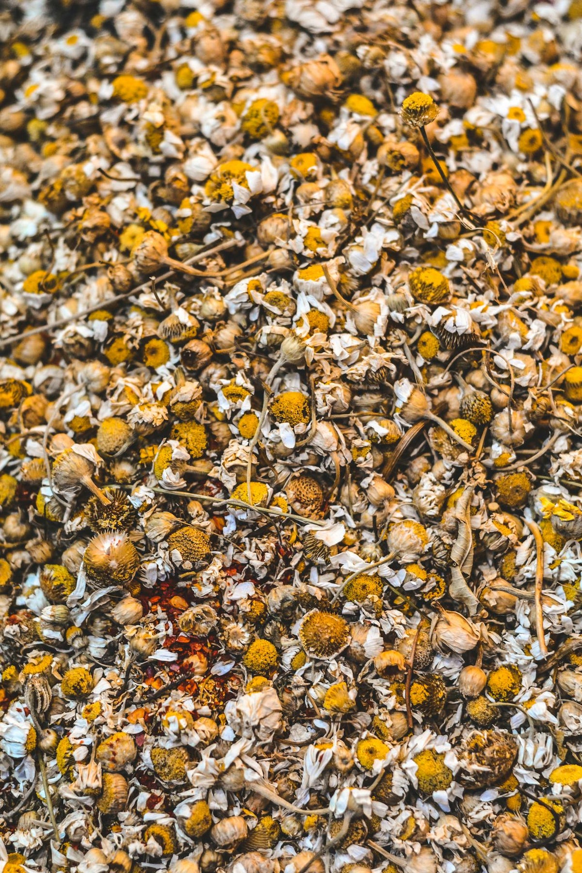 Dry flower delivery Hong Kong