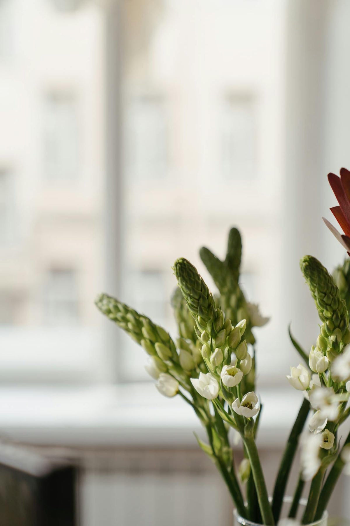 Flowers for good feng shui in different rooms