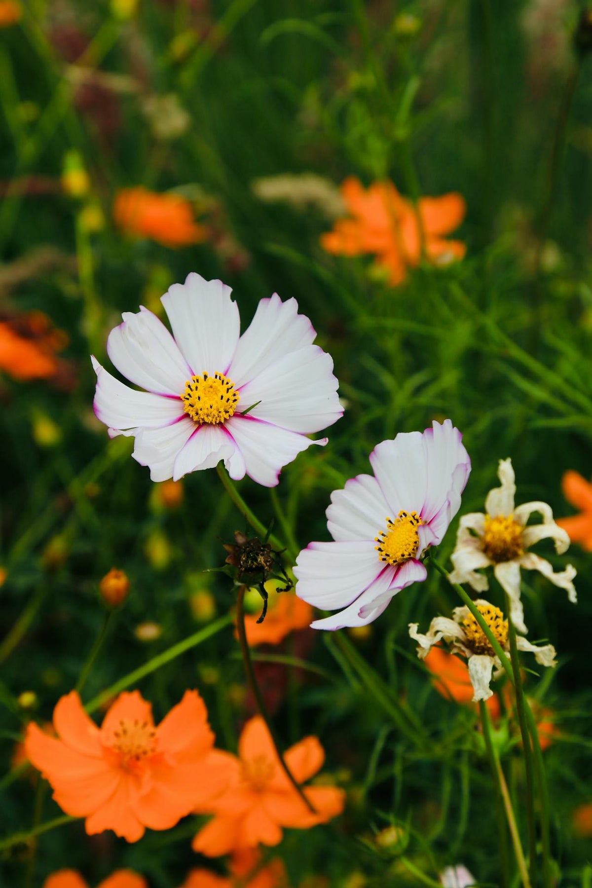 How to save a dying flower bouquet