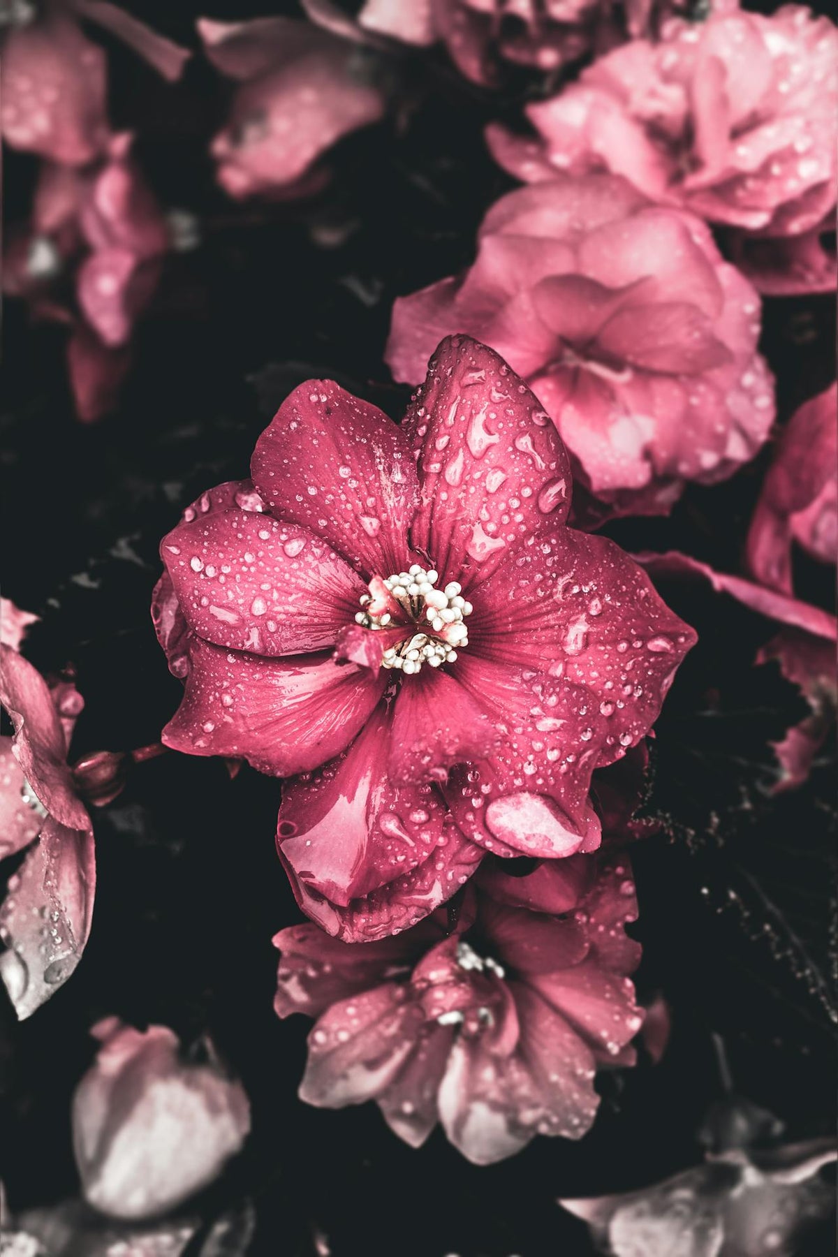 Korean style flower bouquet